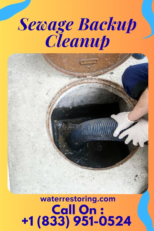 Sewage Backup Cleanup in Aurora, OH