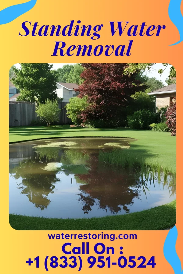 Standing Water Removal in Aurora, OH